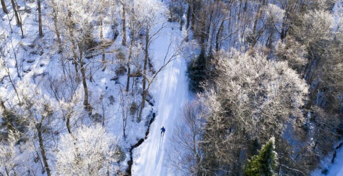 Seen from above, a person cross-country skis through a snowy forest.