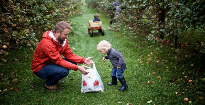 A person holds a bag of apples to a younger person in an orchard.
