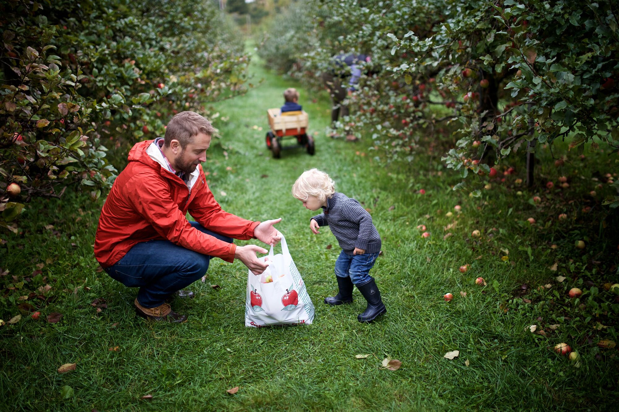 A person holds a bag of apples to a younger person in an orchard.