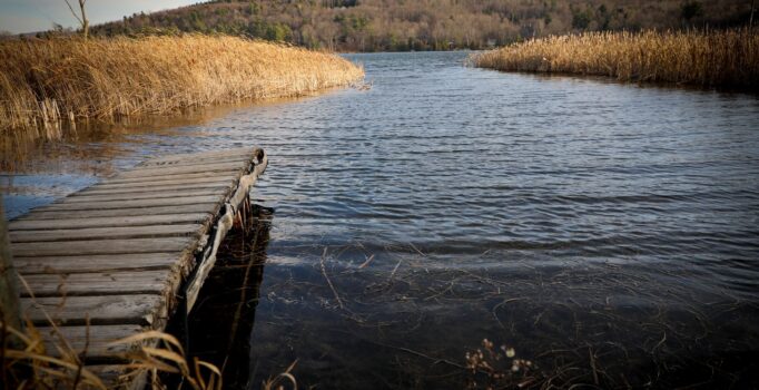 Docks over water with golden grasses and a stick season hill side in the background.