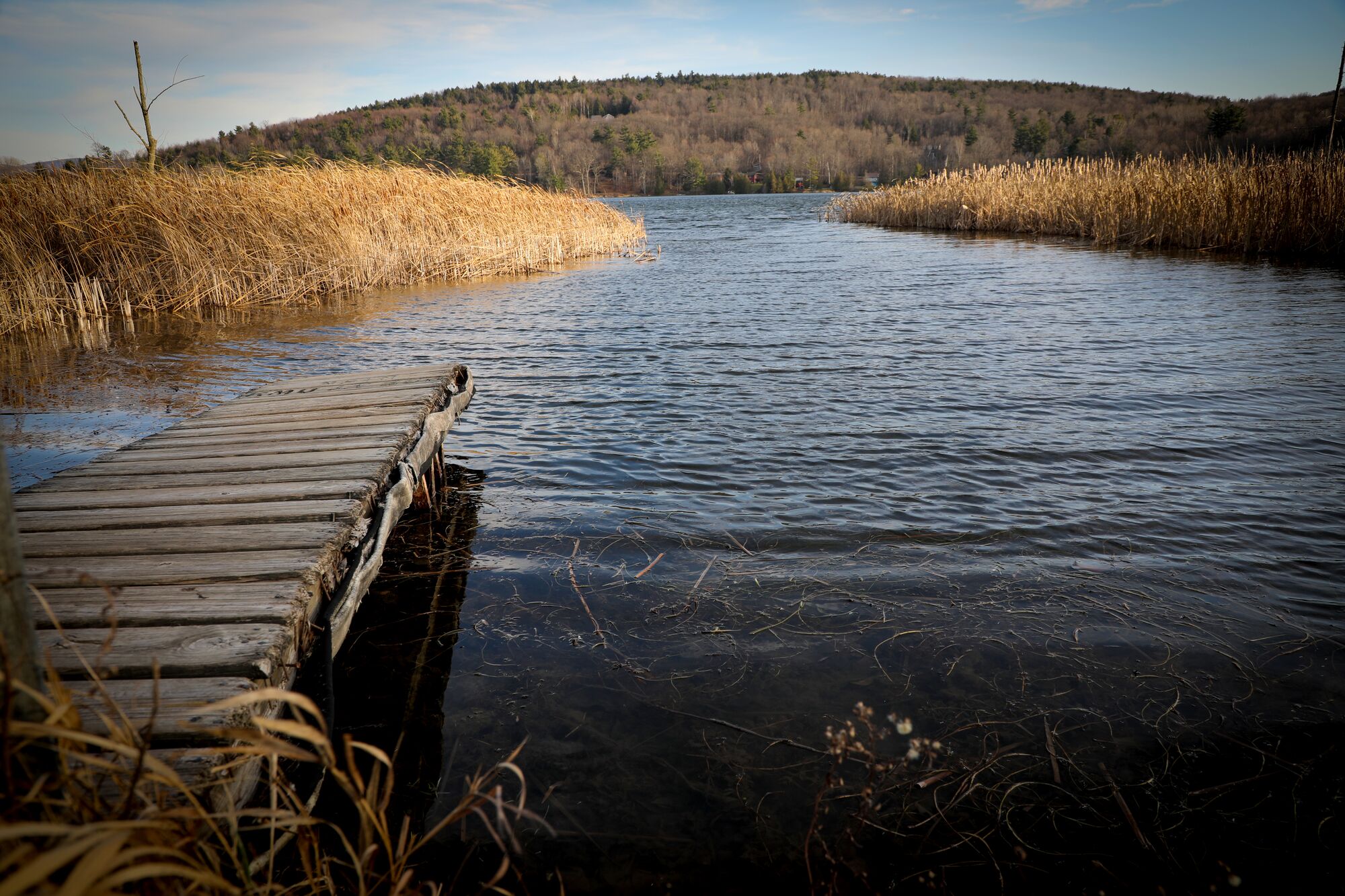 Docks over water with golden grasses and a stick season hill side in the background.