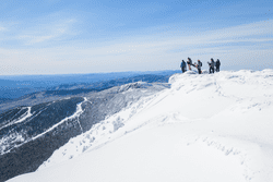 People stand at the top of a snowy mountain and look at the view of a forest below.