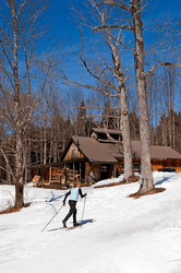 On a sunny spring day, a Nordic skier heads uphill towards a tree with a sap bucket hanging on it, and nearby a barn has wood stacked out front.