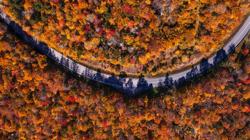 Aerial view of road through fall foliage
