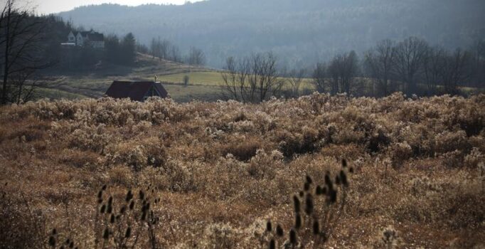 A field of stick season grasses with a hill in the background.