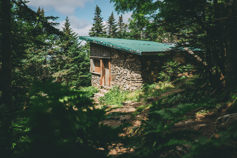 A small stone building with a green slanted roof in a forest.