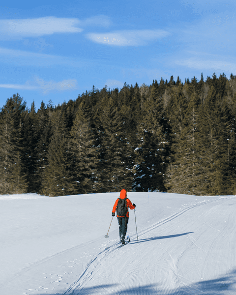 Seen from behind, a person cross country skis across a flat snowy area with a forest in front of them.