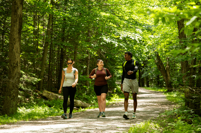 Three hikers walk on a path in a lush green forest.