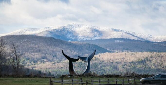 Sculpture of two whale tails in front of stick season trees and a snowy mountainside.