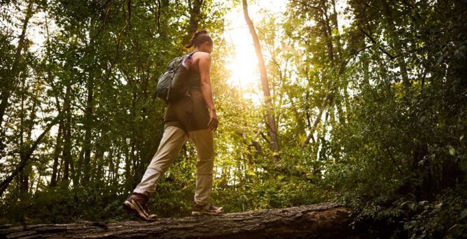 A hiker with a backpack carefully balances while walking across a large fallen log in a dense forest. Bright sunlight streams through the leafy green canopy, creating a warm glow around the trees in the background.