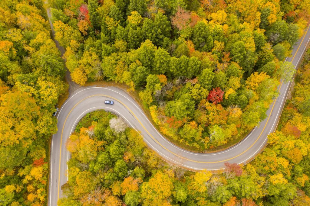 Seen from above, a car drives along a windy road through a lush green and yellow forest.