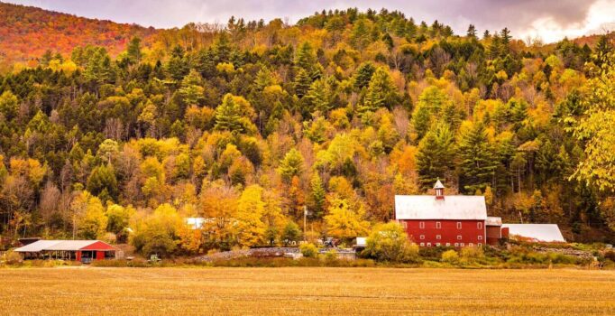 A red barn sits next to an open field and a forest of colorful orange and yellow fall trees.