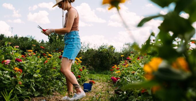 A woman in a hat and sunglasses standing in a garden at Full Belly Farm, Hinesburg, VT.