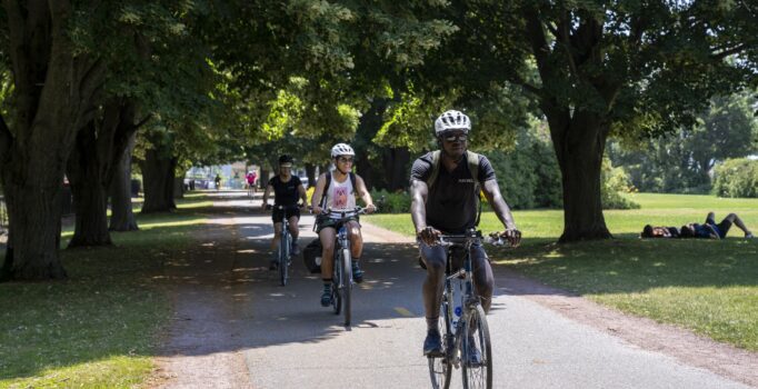 Three people ride bikes on a paved path by people laying in the shade on the grass.