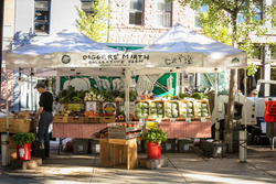 A tent at a farmers market outdoors in summer with colorful produce for sale.