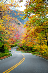 A road curves through mountains with bright red, orange, and yellow leaves on trees.