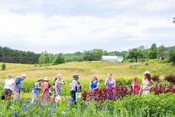 A group of people stands in a vibrant garden field filled with colorful plants and flowers, with rolling green hills and a white greenhouse in the background.