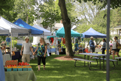 People shopping at an outdoor market in the summer with tents for vendors set up around.