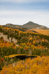 Seen from afar, a mountain peak and the surrounding trees in fall color.
