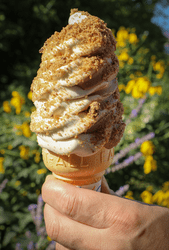 A hand holding a white soft ice cream cone dusted with maple dust.