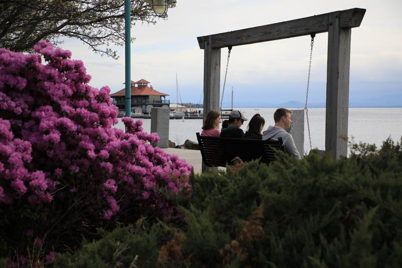 A group of four people sit on a bench outdoors with pink flowers visible behind them. They are looking at a lake and boats.