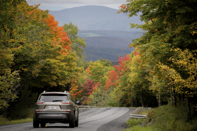 A car drives down a paved road lined with trees beginning to change color for fall.