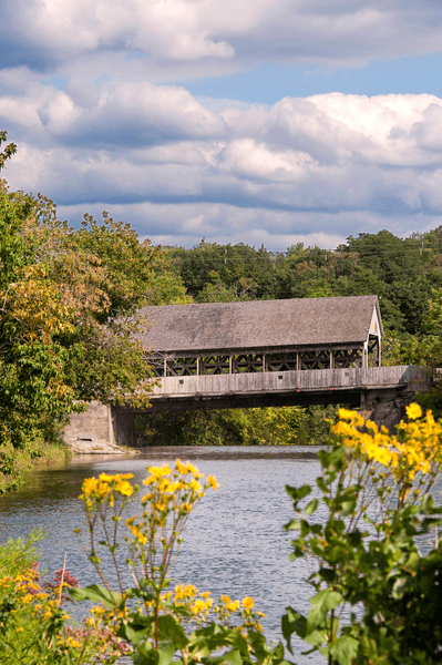 Yellow flowers are in the forefront with a wooden covered bridge over a river in the background.