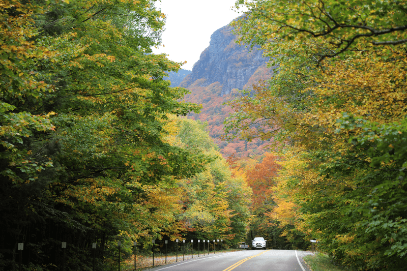 A car drives toward the camera on a road with a mountain behind and red, orange, and yellow leaves on trees.