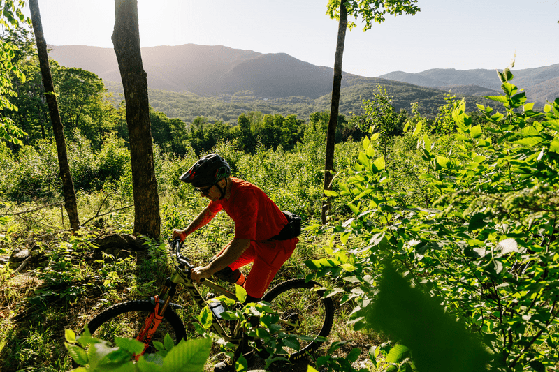 A person rides a mountain bike on a path surrounded by greenery outdoors with a mountain visible in the background. The sun is shining.