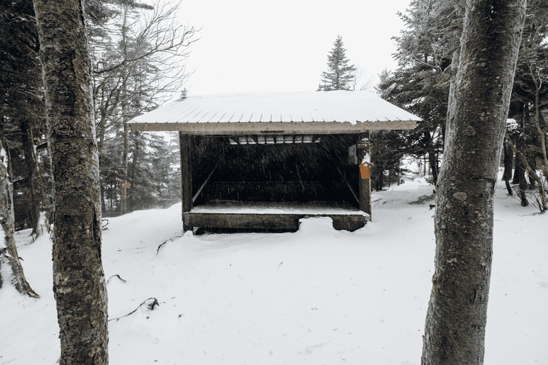A small open building in a snowy forest.