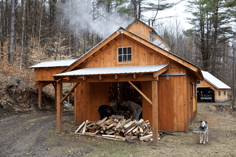 A dog sits in front of a maple sugar house in the spring with steam emanating from the top.