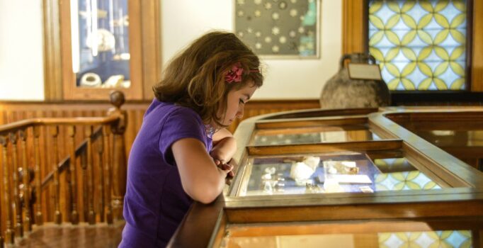 A child looks into a display case in a museum.