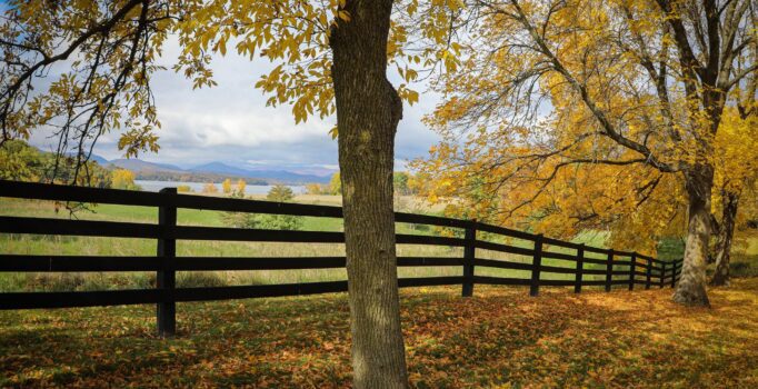 A fence among trees with colorful fall foliage in Vermont.
