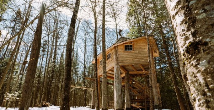A tree house is nestled among surrounding trees in the woods on a sunny, winter day.