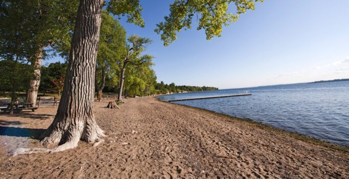 A beach in the summer with trees lining the shore.