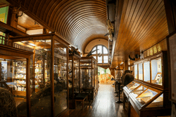 The interior of a museum with a curved wood ceiling and glass display cases around the room.
