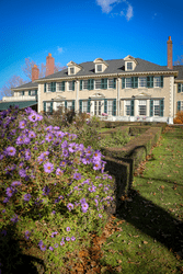 A historic building with purple flowers on a warm sunny day.