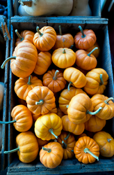 Small gourds are stacked in a basket.