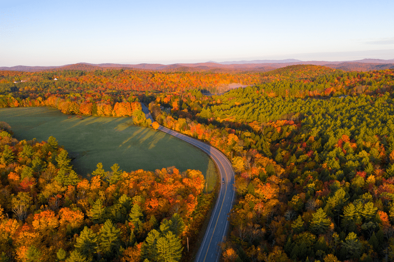 Seen from above, a road winds through trees with orange leaves. The setting sun shines on the trees in the distance.