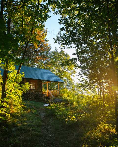 A wooden cabin is seen in the woods in the sun.