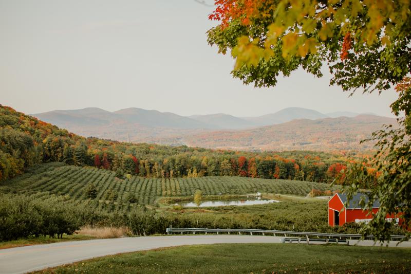 A barn next to a road and a cornfield. Red, orange, and yellow colors are just starting to show on trees in the forest behind.