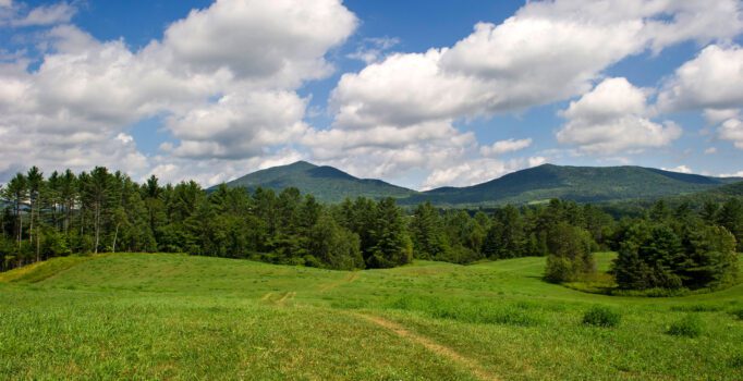 A grass field bordered by a green forest with mountain peaks in the background.