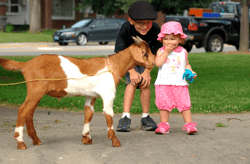 Two children meet a goat.