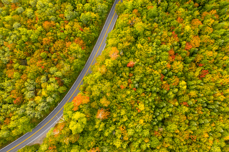 Seen from above, a two lane paved road winds through trees displaying hues of green, orange, yellow, and red.