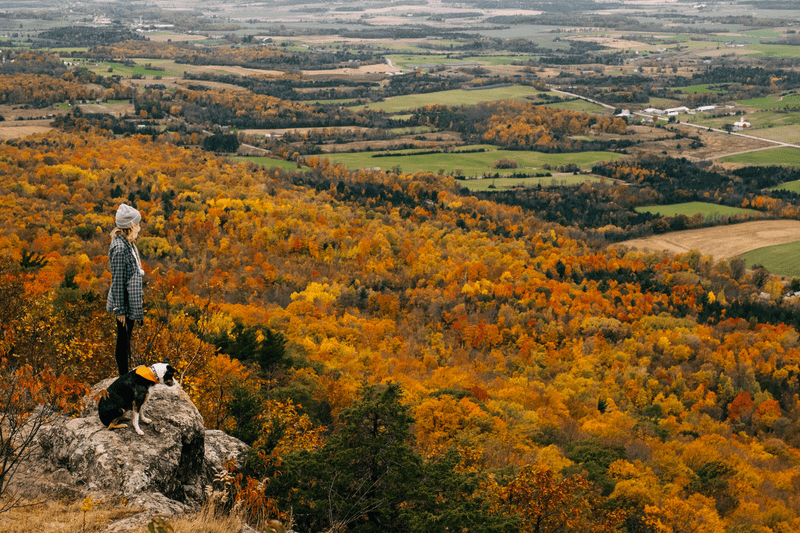 A person and a dog on a mountain peak overlooking a scenic vista with bright red, orange, and yellow leaves on the trees.