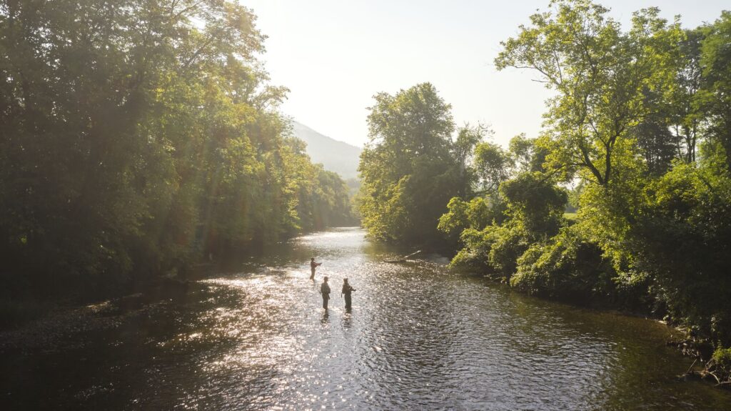 Three people standing in a river fly fishing, seen from far above.