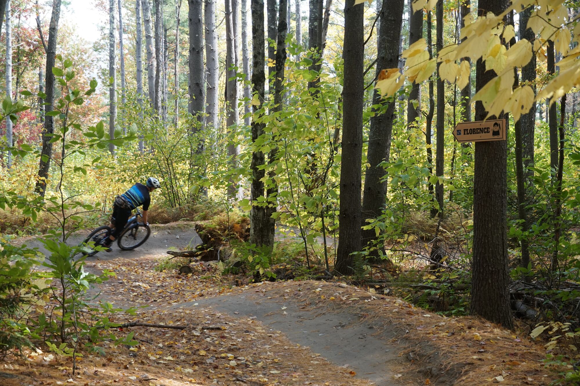 A person biking down a trail in the woods.