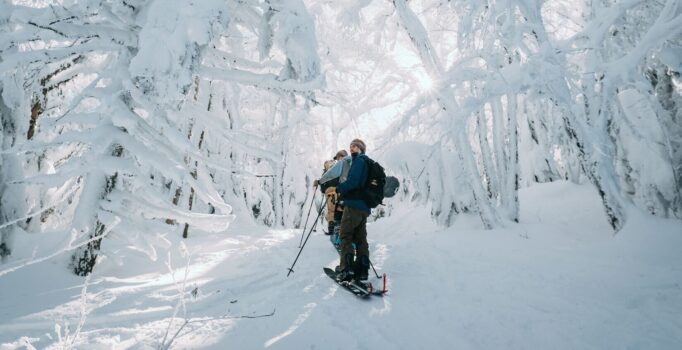 Skiers look into snow covered trees while skiing.