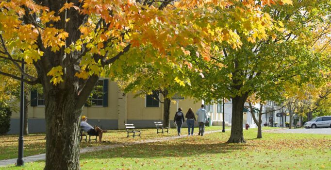 Fall scene depicting a mowed lawn, sidewalks, benches, and people walking and sitting.
