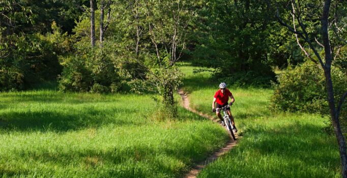 A person riding a mountain bike traverses a narrow dirt path through a grassy field.